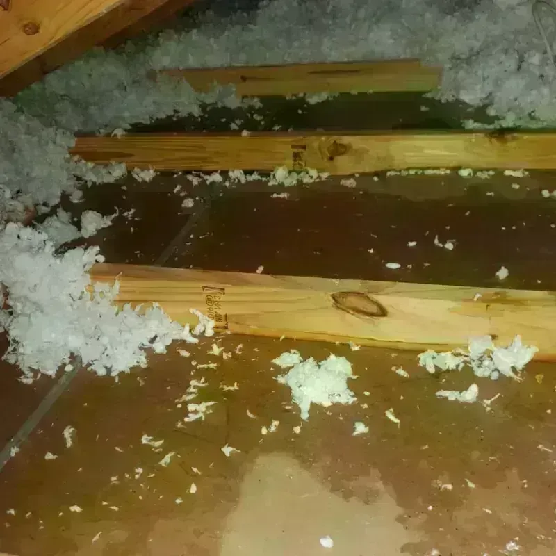 Attic Water Damage in Keshena, WI