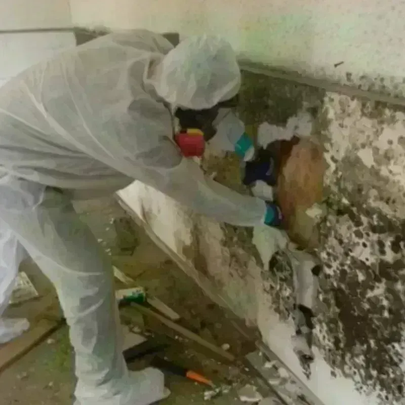 Mold Remediation and Removal in Keshena, WI