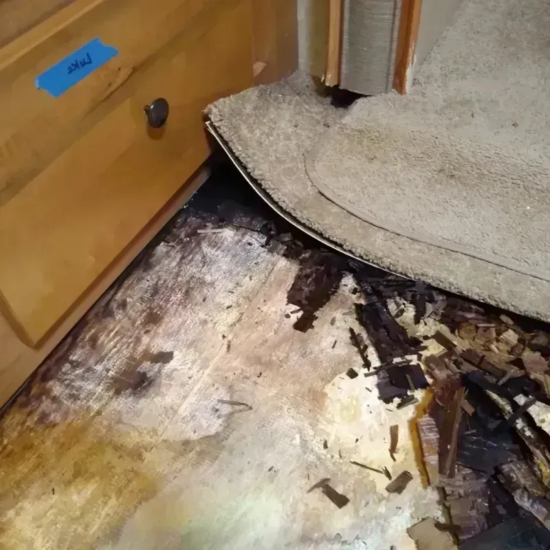 Wood Floor Water Damage in Keshena, WI